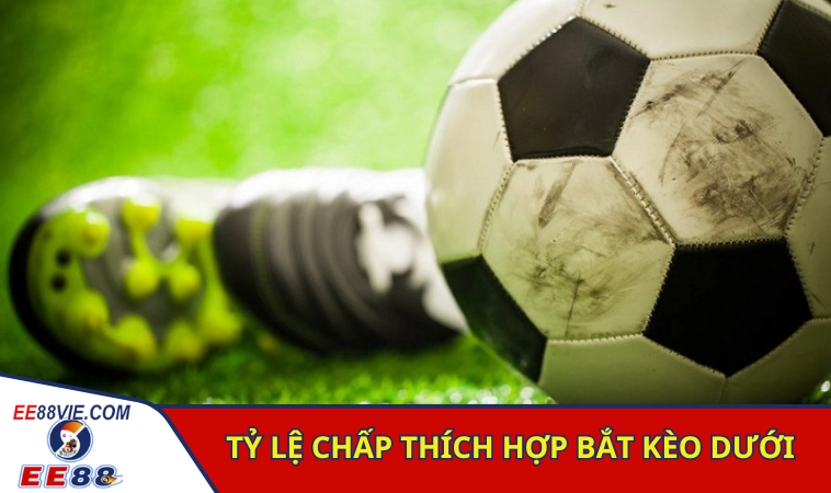 Cách Đánh Kèo Dưới Bao Ăn Thắng Lớn Từ Chuyên Gia 3 Các tỷ lệ chấp thích hợp khi bắt kèo kèo dưới