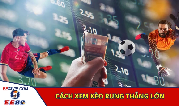 Cách Xem Kèo Rung Chính Xác Tăng Vốn Siêu Tốc 4 Cách xem kèo rung hiệu quả giúp người chơi thắng lớn