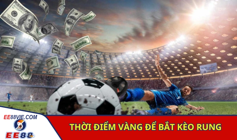 Cách Xem Kèo Rung Chính Xác Tăng Vốn Siêu Tốc 3 Thời điểm lý tưởng để người chơi đánh rung bóng đá